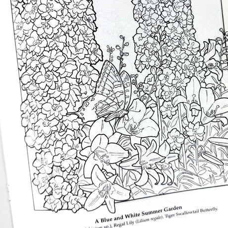 The Flower Garden Coloring Book