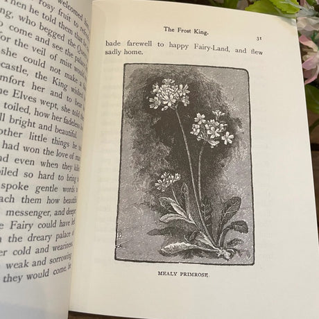Flower Fables