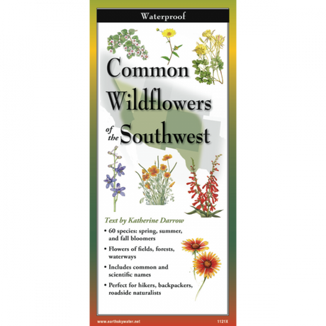 The cover image of Common Wildflowers of the Southwest folding guide featuring a selection of illustrations of wildflowers against a map of the Southeastern US states