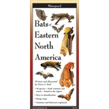 Bats of Eastern North America Folding Guide