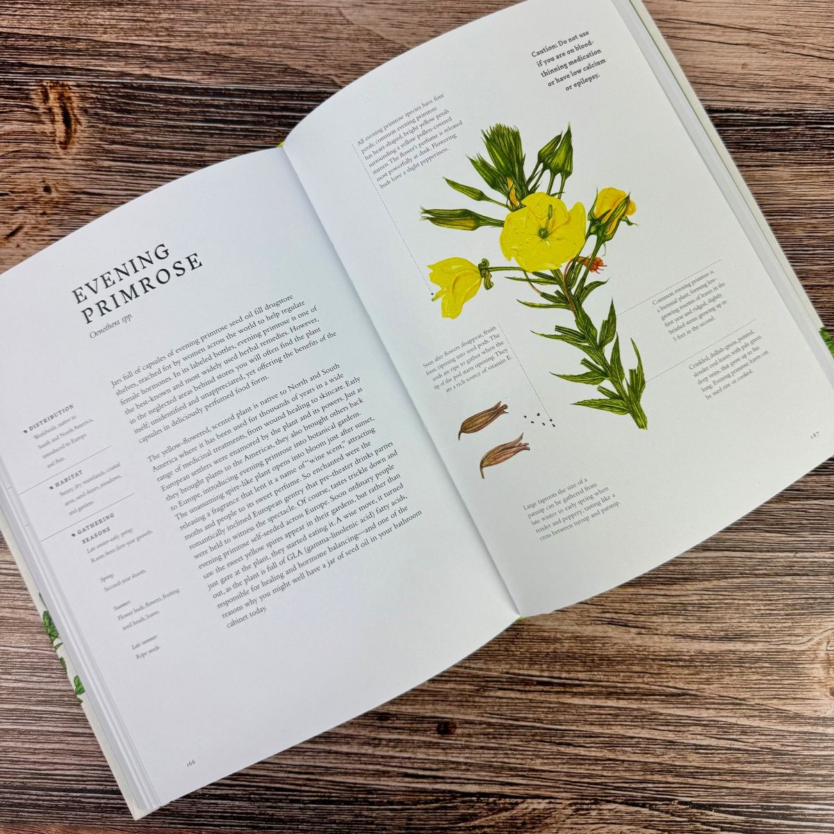 Forage – The Old Farmer's Almanac Store