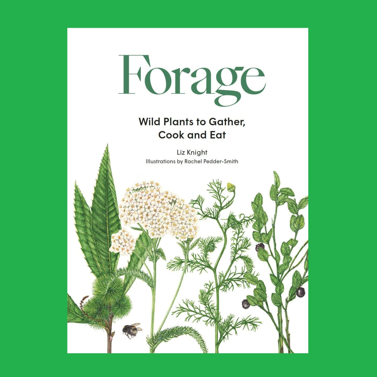 Book cover of 'Forage' with illustrations of wild plants on a green background