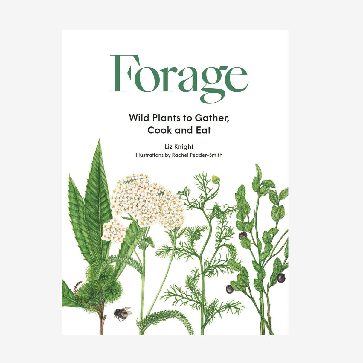 Book cover of 'Forage: Wild Plants to Gather, Cook and Eat' with illustrations of plants on a white background.