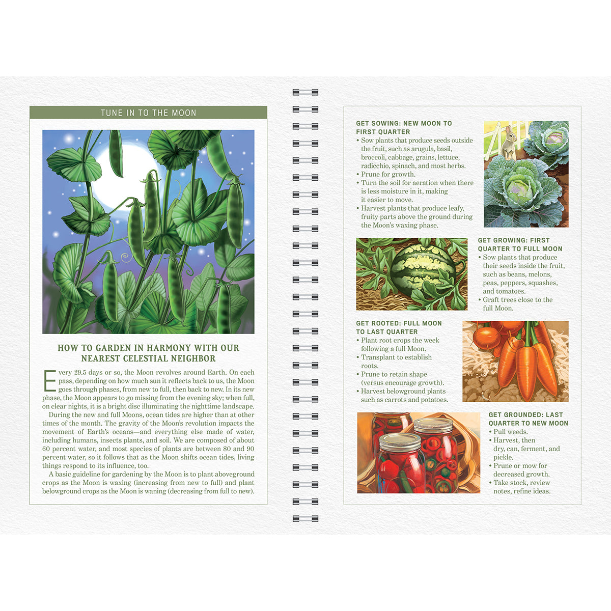The Old Farmer's Almanac Garden Journal Volume 2