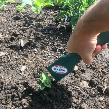 12" Loop Weeder