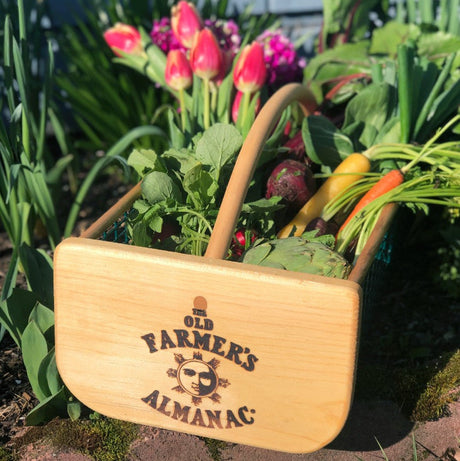 Wooden basket with vegetables and flowers, featuring 'The Old Farmer's Almanac' branding, in a garden setting.