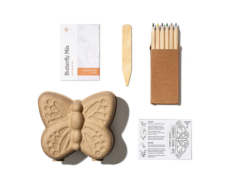 Butterfly-themed craft kit with wooden butterfly, colored pencils, and instructions on a white background