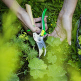 Person holding garden shears amidst green plants