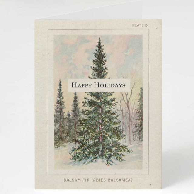 a greeting card with a vintage illustration of a balsam fir with the text "Happy Holidays"