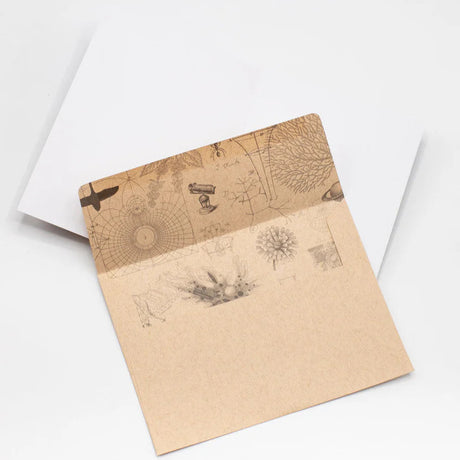 a kraft envelope open to reveal science themed print inside of the envelope