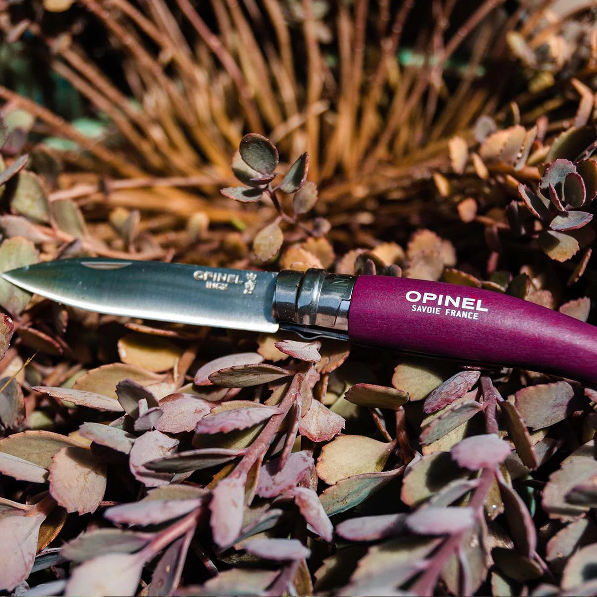a close up of the No. 08 Garden Knife with purple handle resting on a bed of garden cuttings