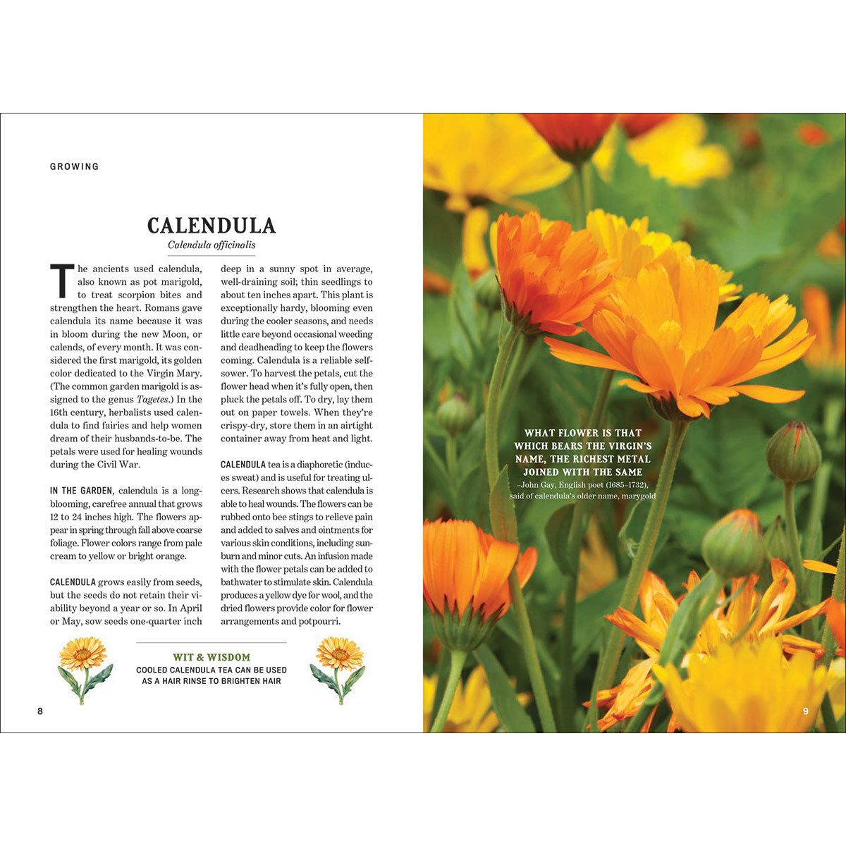 The Old Farmer's Almanac Guide to Herbs