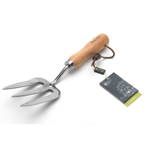 The Stainless Steel hand fork against a white background