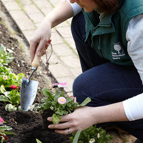 a gardener kneeling and planting flowers in the soil using the hand trowel