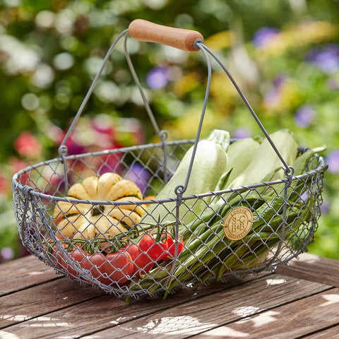 the large harvest basket on a garden table filled with corn, green beans, squash, and other freshly harvested veggies