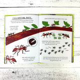 Hello Bugs: A Little Guide to Nature