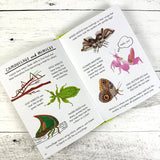 Hello Bugs: A Little Guide to Nature