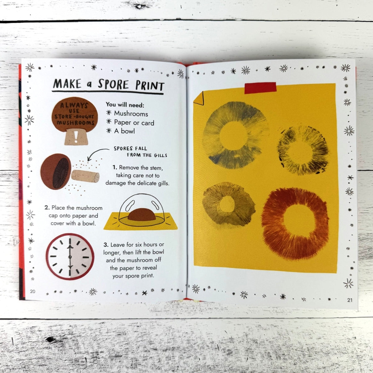 Hello Fungi: A Little Guide to Nature