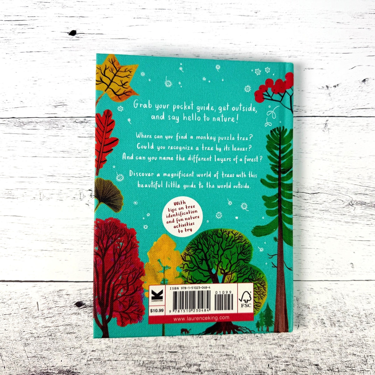Hello Trees: A Little Guide to Nature