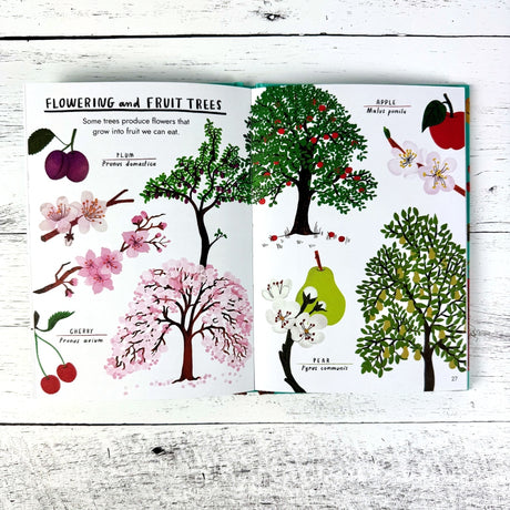 Hello Trees: A Little Guide to Nature