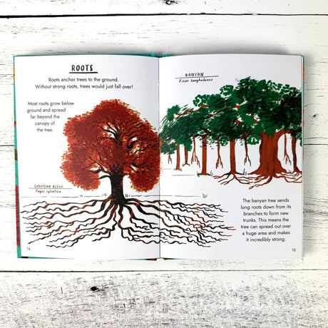 Hello Trees: A Little Guide to Nature