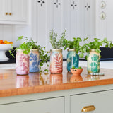 Herb Garden Jar - Parsley