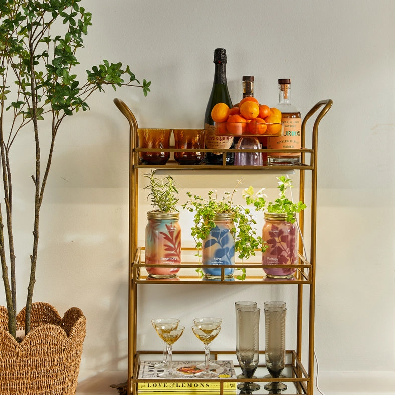 Herb Garden Jar - Mint