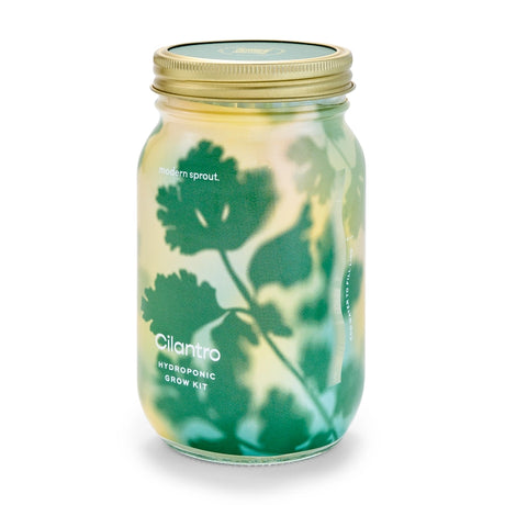 Herb Garden Jar - Cilantro