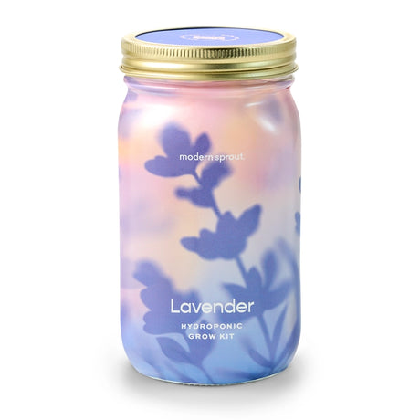 Mason jar with lavender design and 'modern sprout' branding on a white background