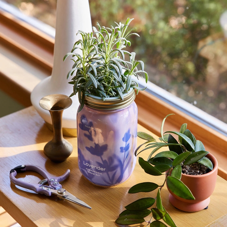 Herb Garden Jar - Lavender