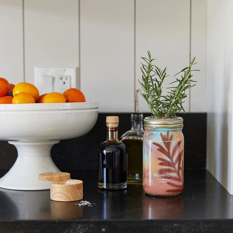 Herb Garden Jar - Rosemary
