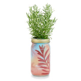 Herb Garden Jar - Rosemary