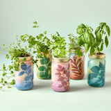 Herb Garden Jar - Rosemary
