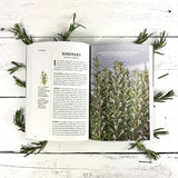 Open book on rosemary with text and images of the plant on a white wooden surface.