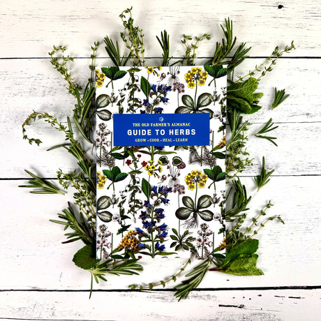 Book titled 'The Old Farmer's Almanac Guide to Herbs' surrounded by various herbs on a wooden surface.