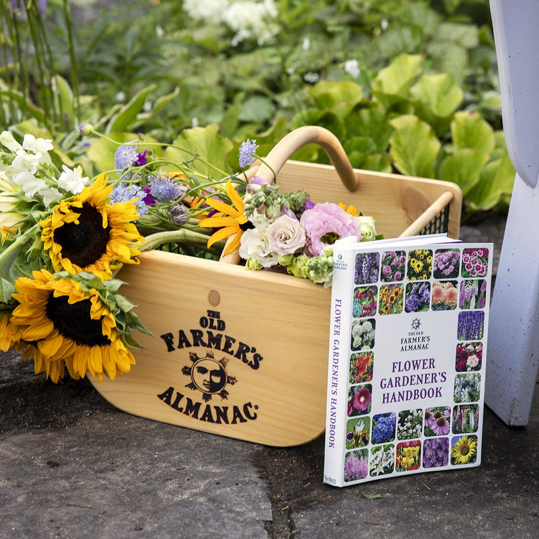 The Old Farmer's Almanac Garden Hod - Thumbnail 3