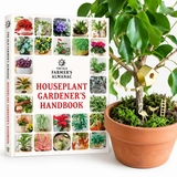 Houseplant Gardening Bundle