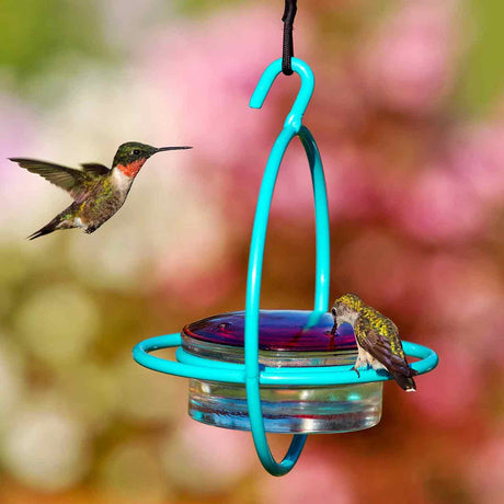 Two hummingbirds interacting with a turquoise hummingbird feeder against a blurred natural background.