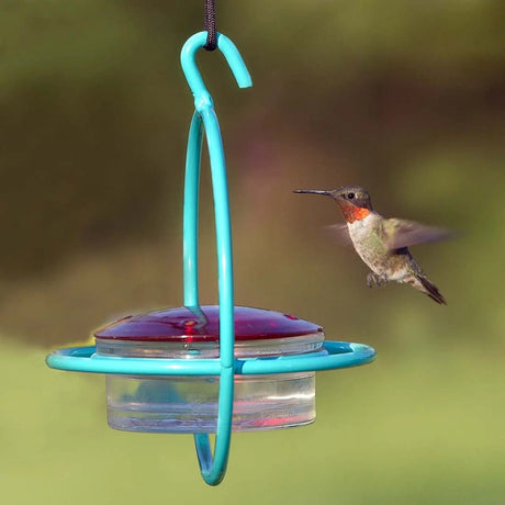 Hummingbird approaching an aqua and clear hummingbird feeder with a blurred green background