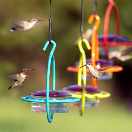 Hummingbirds around multiple colorful hummingbird feeders with a blurred green background