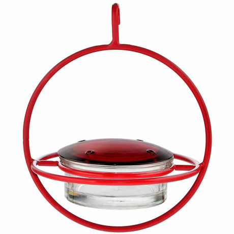 the Red hummingbird feeder against a white background - red globe shape with a clear glass feeder in the center with red glass lid