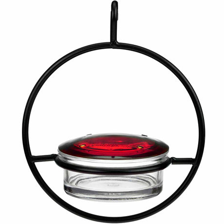Hummingbird feeder with red top and clear base suspended in a matte black globe shape on a white background