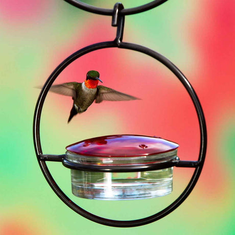 Hummingbird feeder with a hummingbird in flight against a colorful background