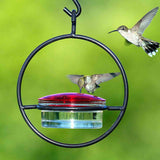 Hummingbird feeder with two hummingbirds on a green background