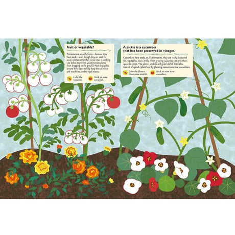 Illustration of a garden with plants and flowers, educational text on a light blue background