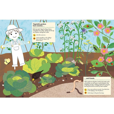 Illustration of a vegetable garden with a scarecrow, plants, and animals on a white background