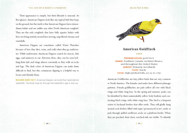 an interior page with illustration and info about the American Goldfinch