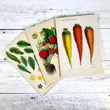 Kitchen Delights Notebooks - Set of 3