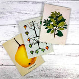 Kitchen Delights Notebooks - Set of 3