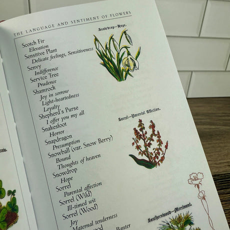 Book with illustrations of flowers and their meanings on a wooden surface.